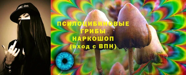 mix Новодвинск